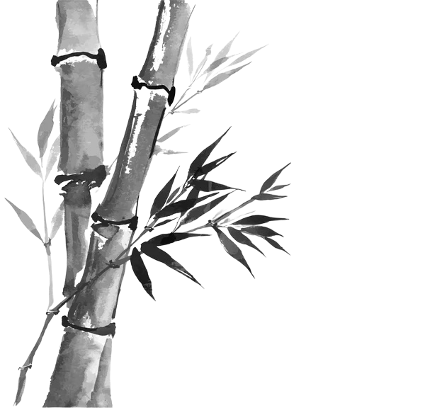 Bambú decorativo