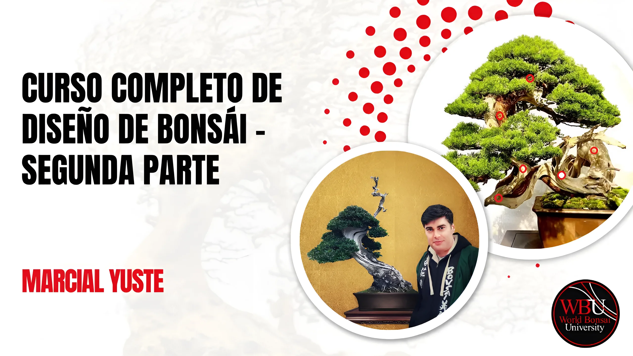Curso completo de diseño de bonsái, módulo 2, impartido por Marcial Yuste en World Bonsai University
