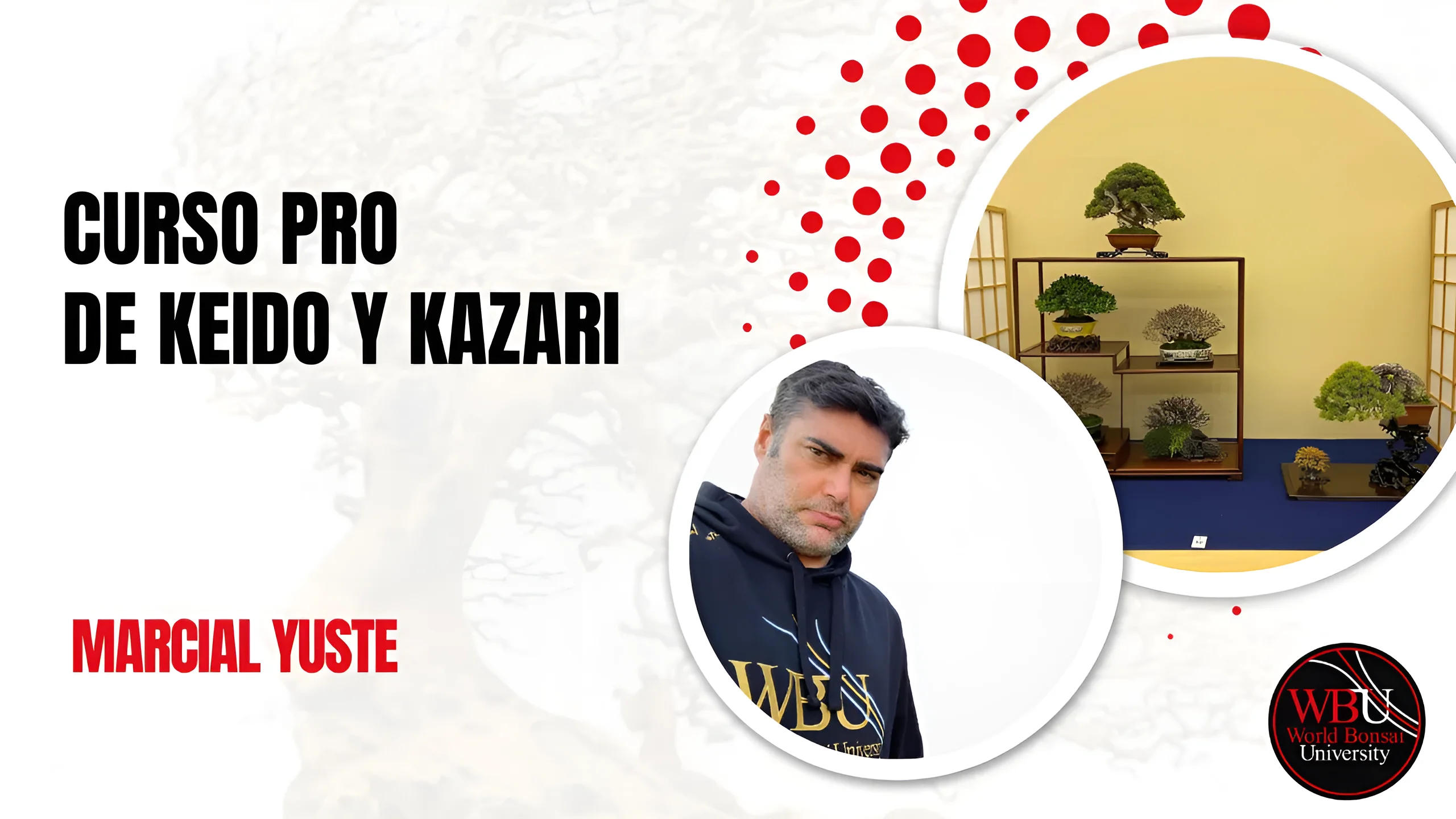 Curso Pro de Keidō y Kazari, impartido por Marcial Yuste en World Bonsai University