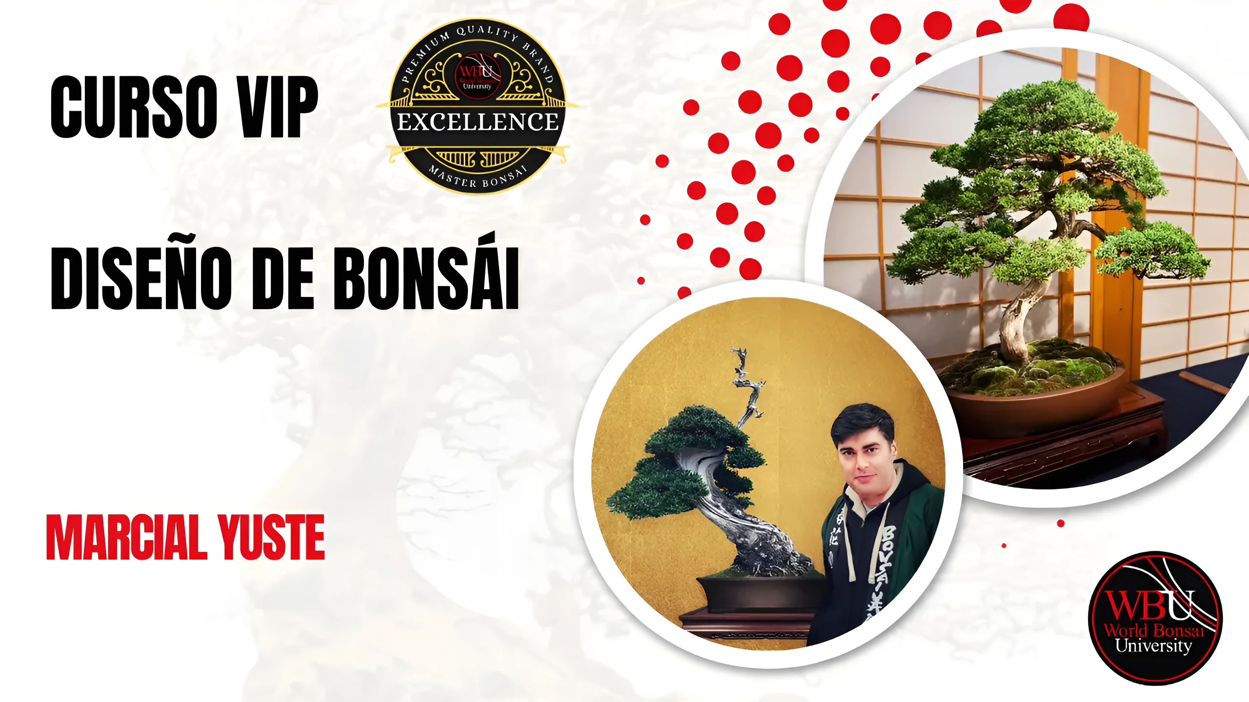 Curso VIP de diseño de bonsái, impartido por Marcial Yuste en World Bonsai University