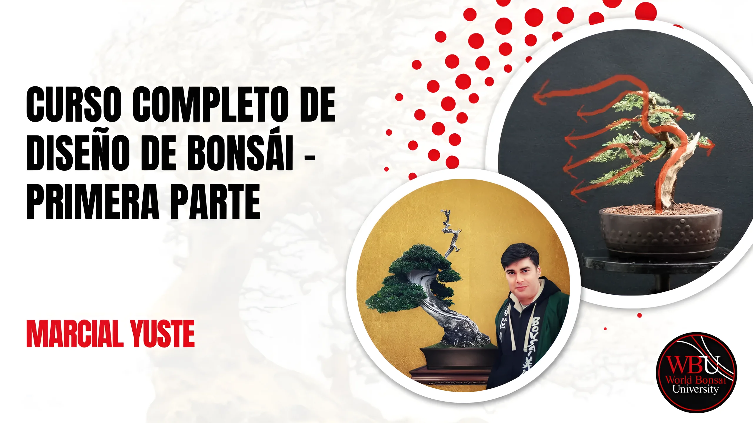 Curso completo de diseño de bonsái, módulo 1, impartido por Marcial Yuste en World Bonsai University