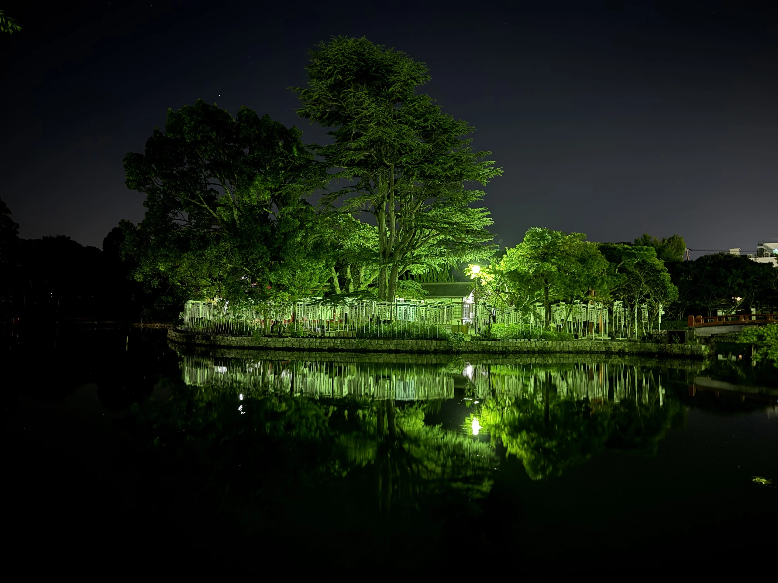 長谷寺：夜にライトアップされた池