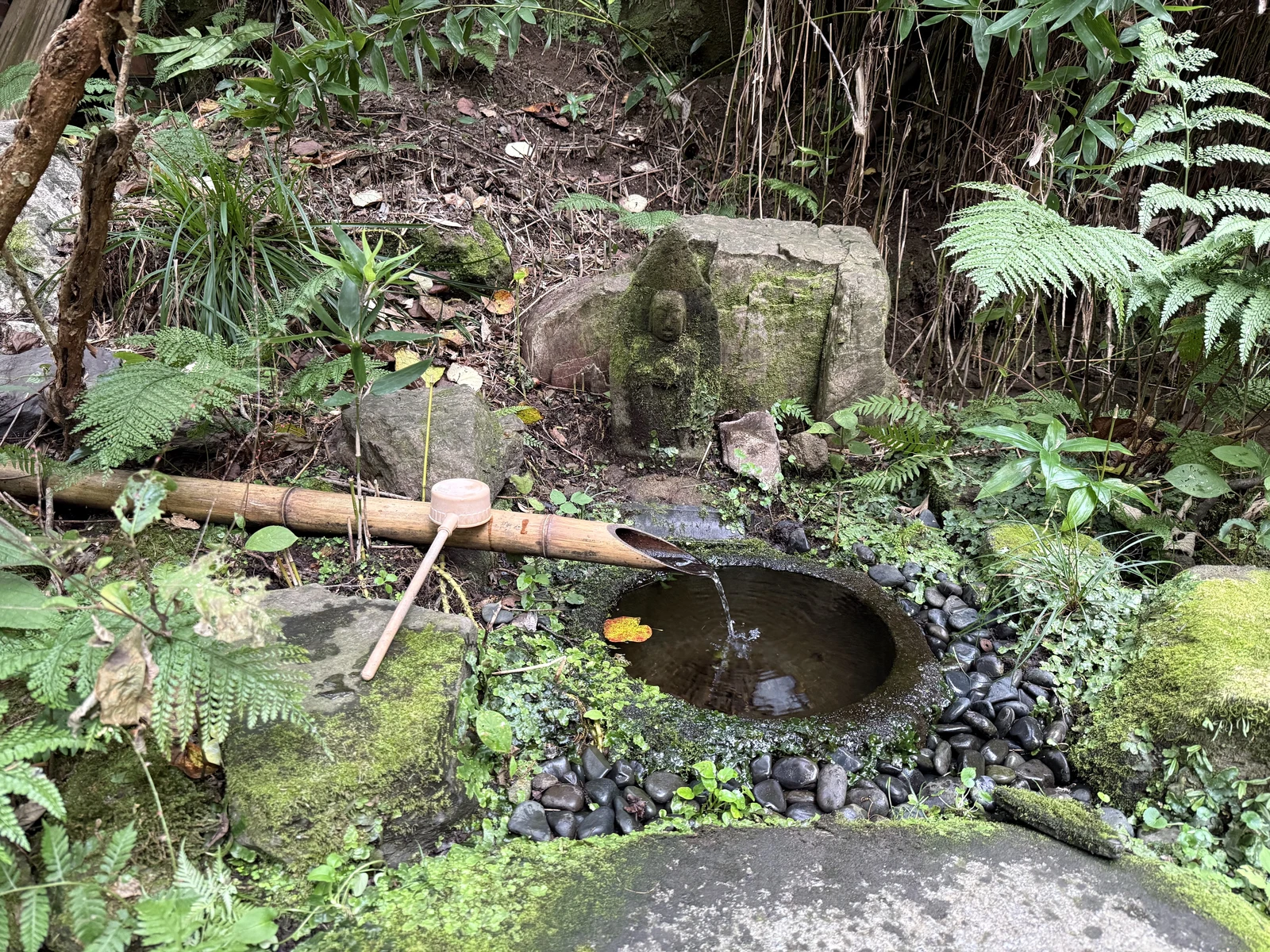 建長寺：境内の木々と奥の堂