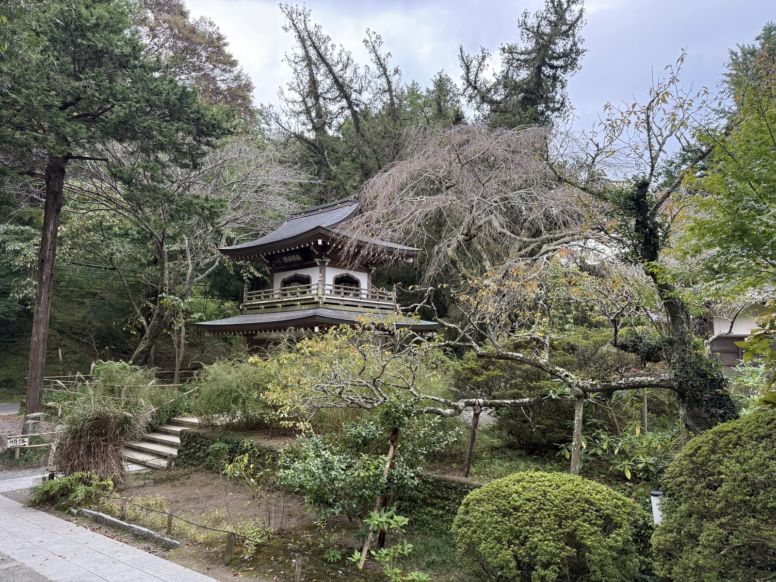 明月院：石と苔と竹の庭の一隅
