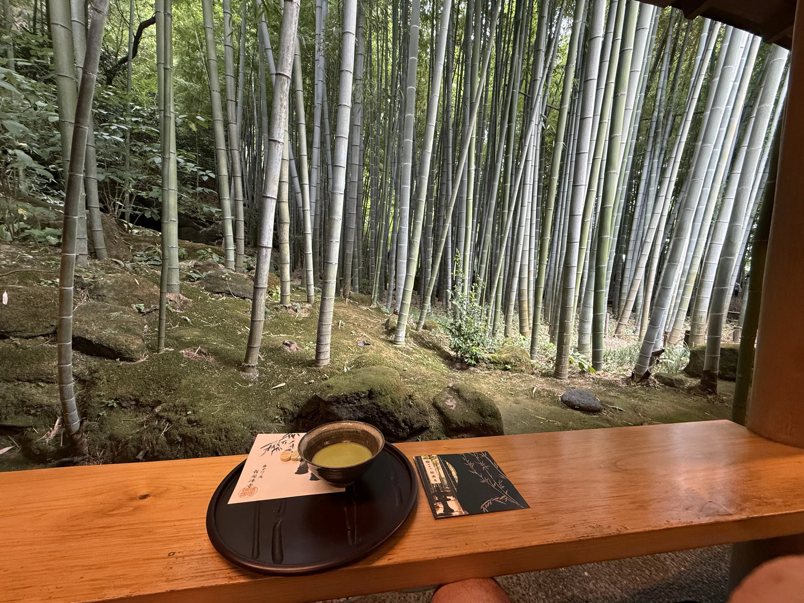 報国寺：休耕庵の抹茶と竹林