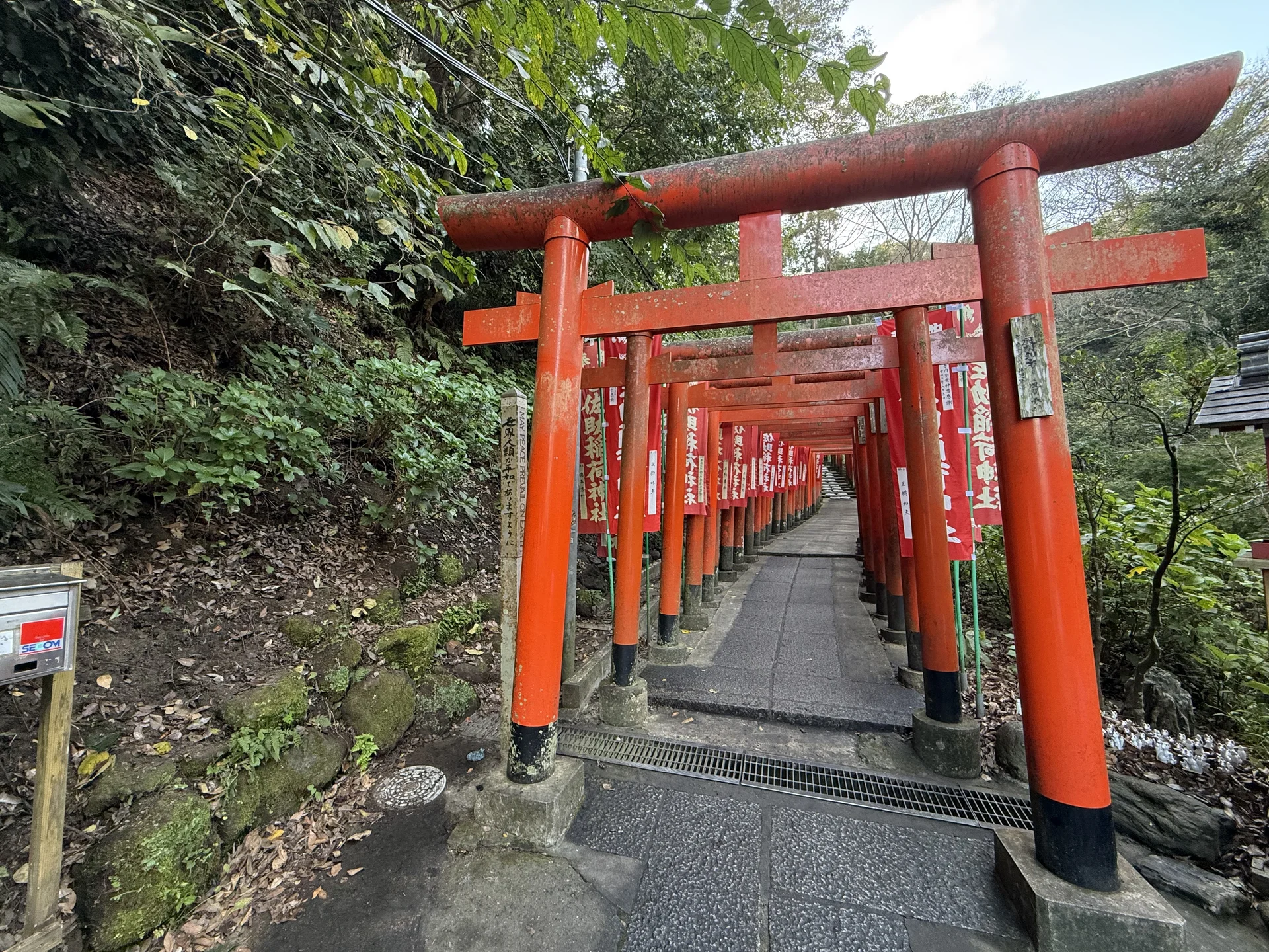 佐助稲荷神社：朱の鳥居が続く参道