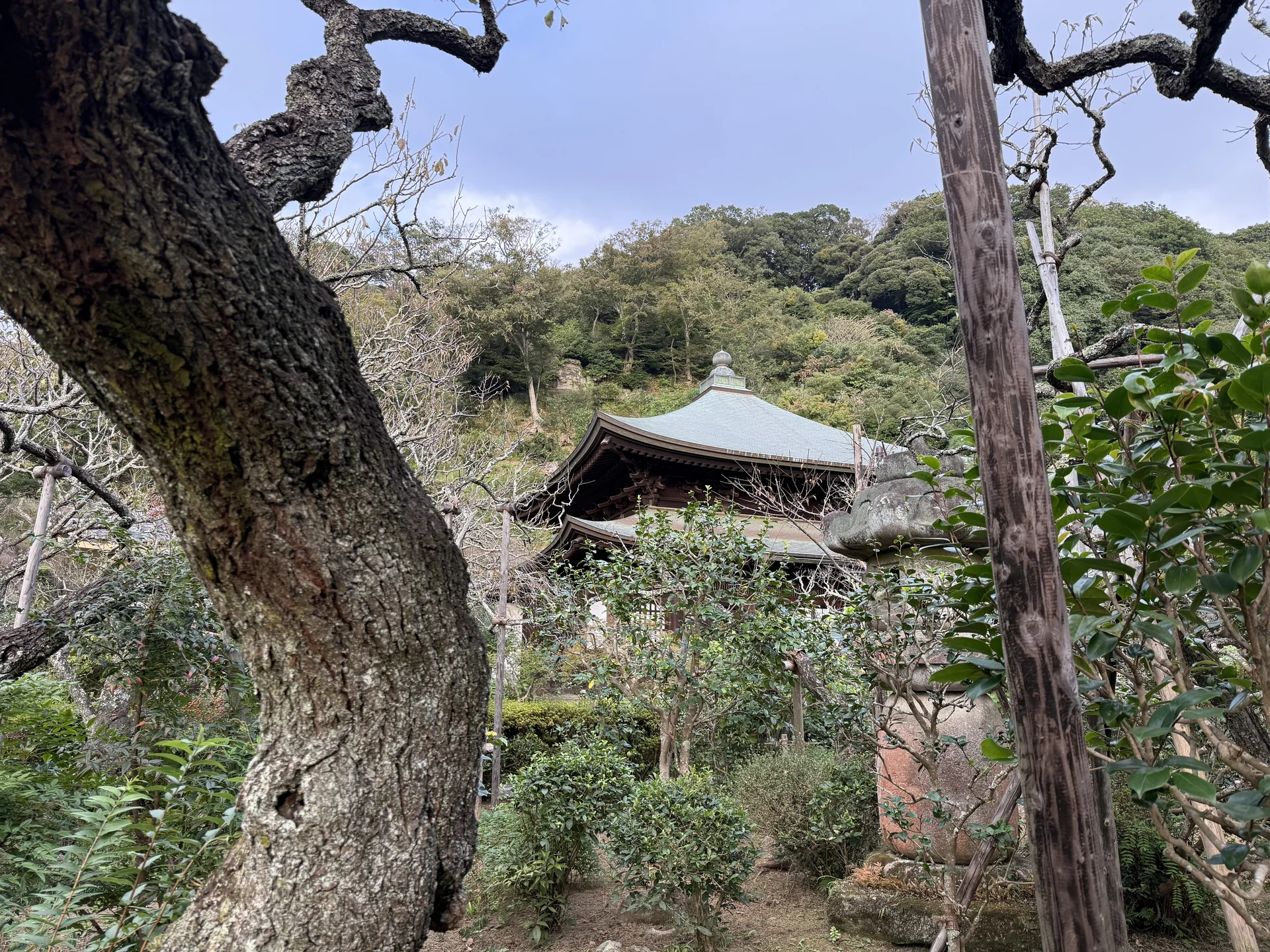 佐助稲荷神社：夕暮れの朱の鳥居と灯籠の続く石段