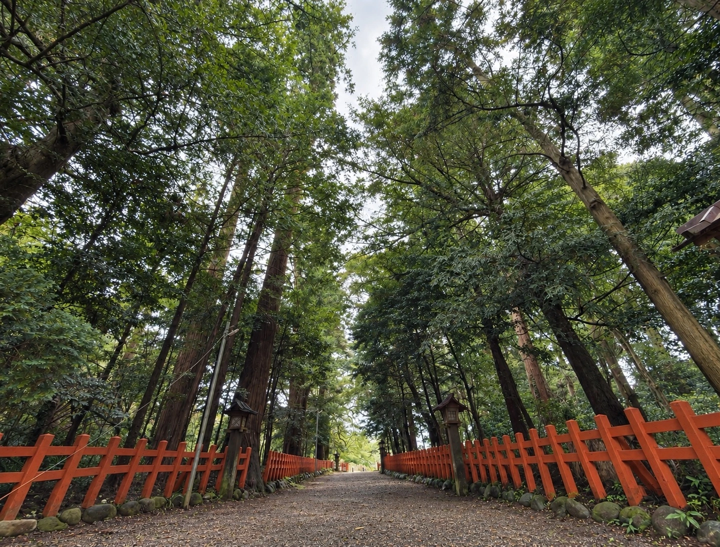 香取神宮：朱塗りの柵が続く杉並木の参道