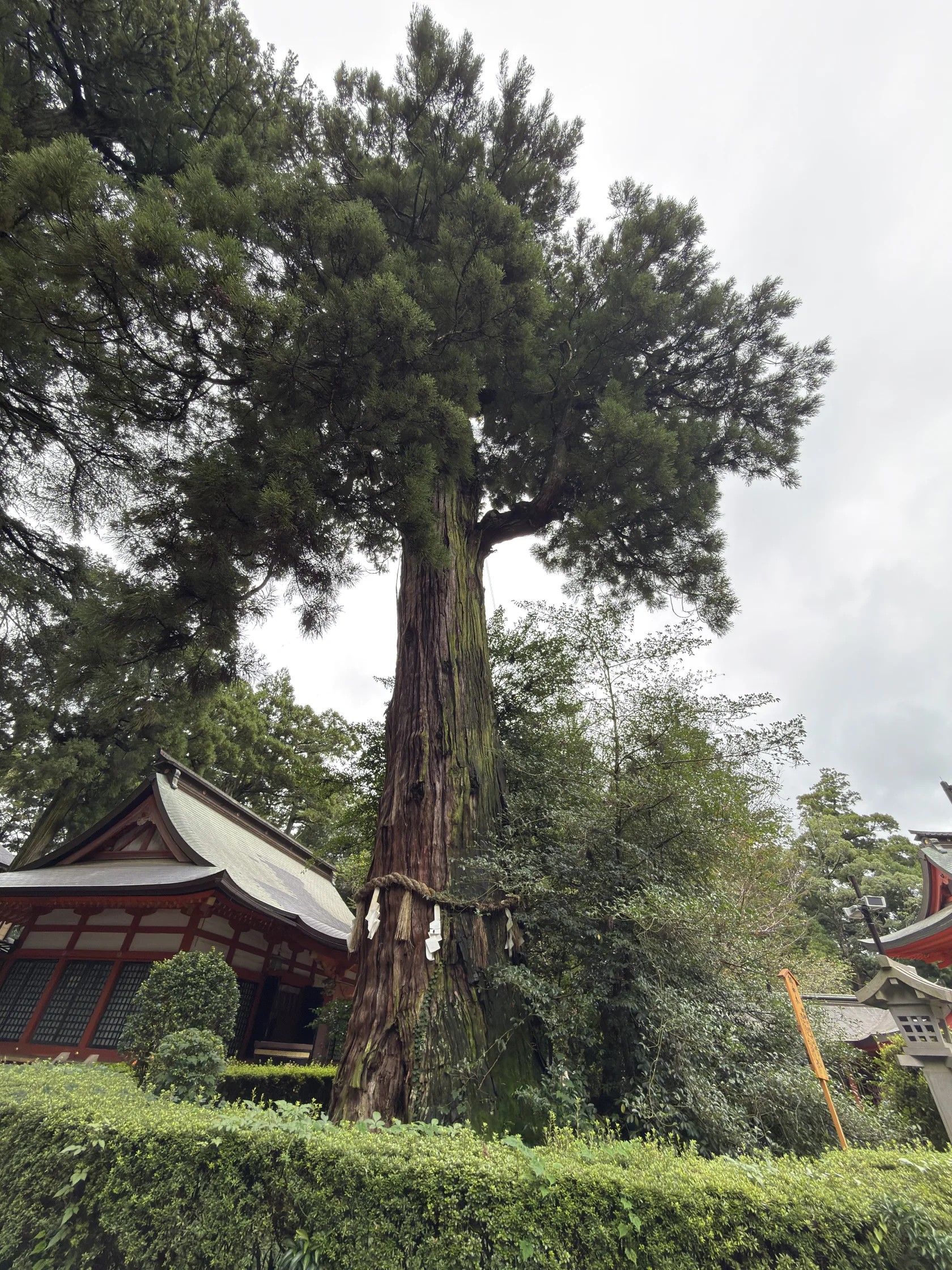 香取神宮：彫刻を施した木造の神楽殿