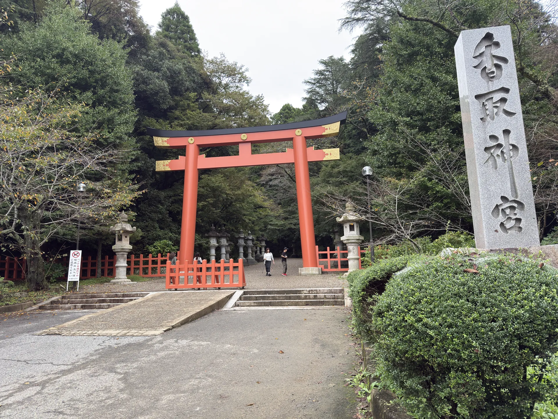香取神宮：本殿域の注連縄を巻いた老杉