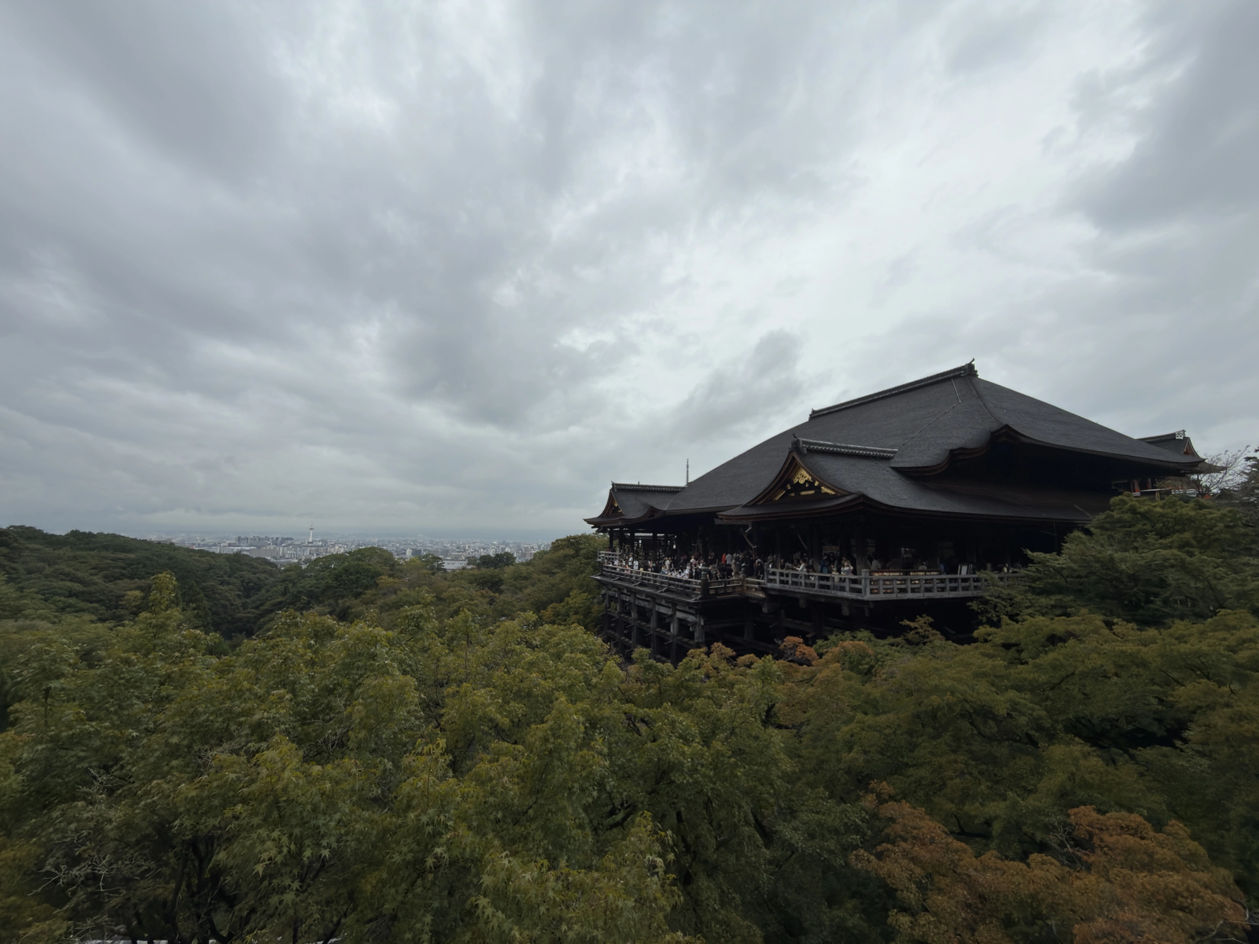 清水寺：森の上の本堂