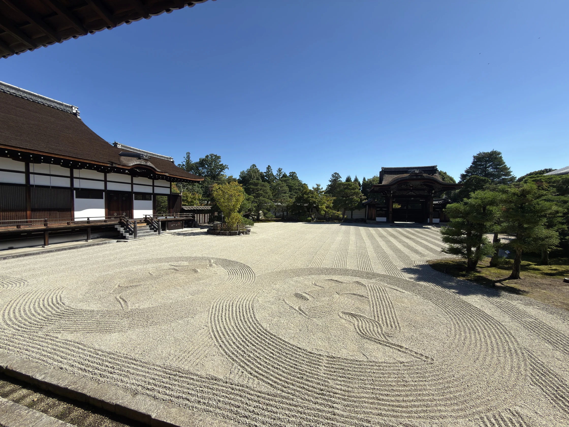 仁和寺：塔の見える池