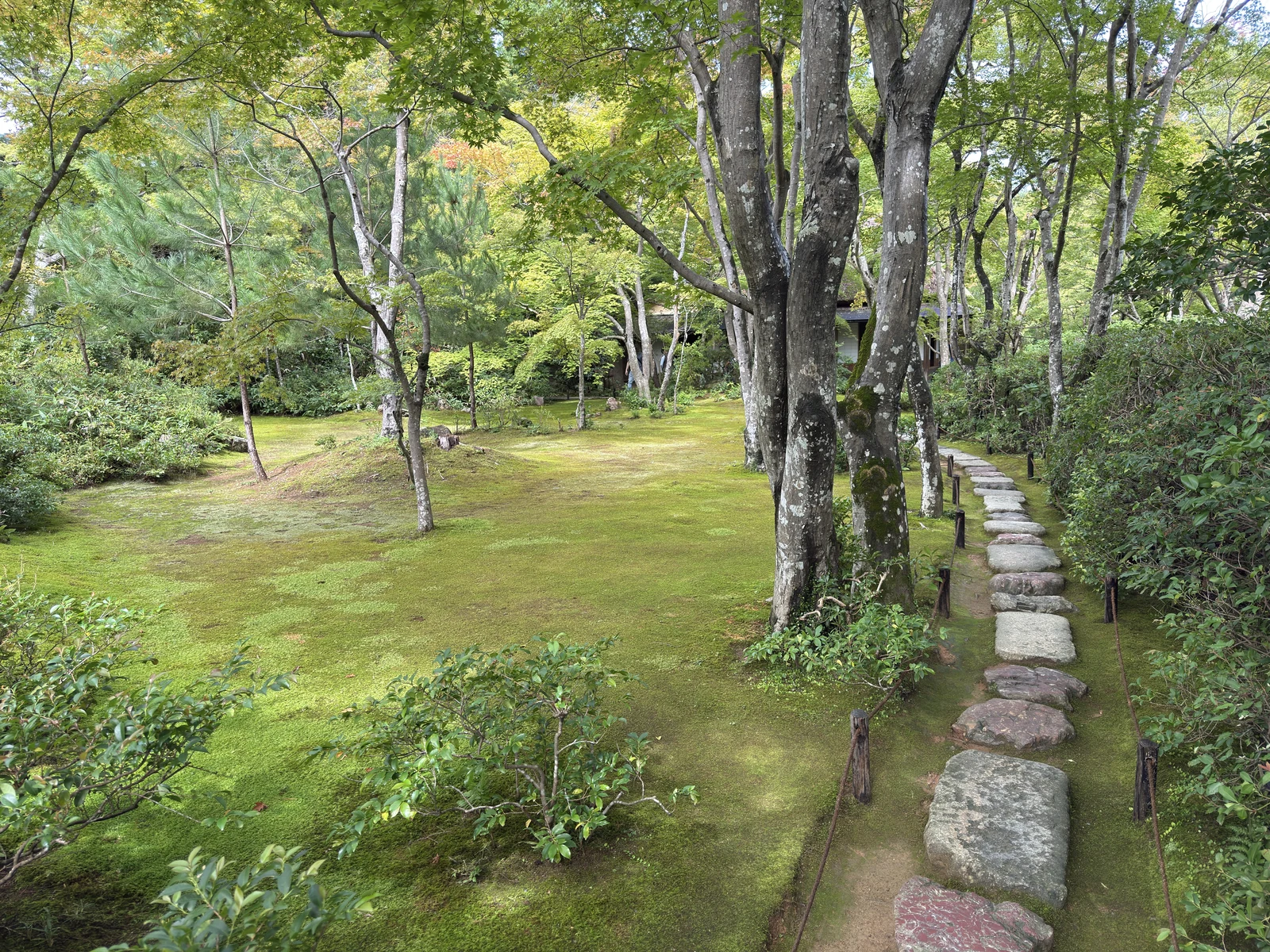 祇王寺：苔の上の飛び石の小径