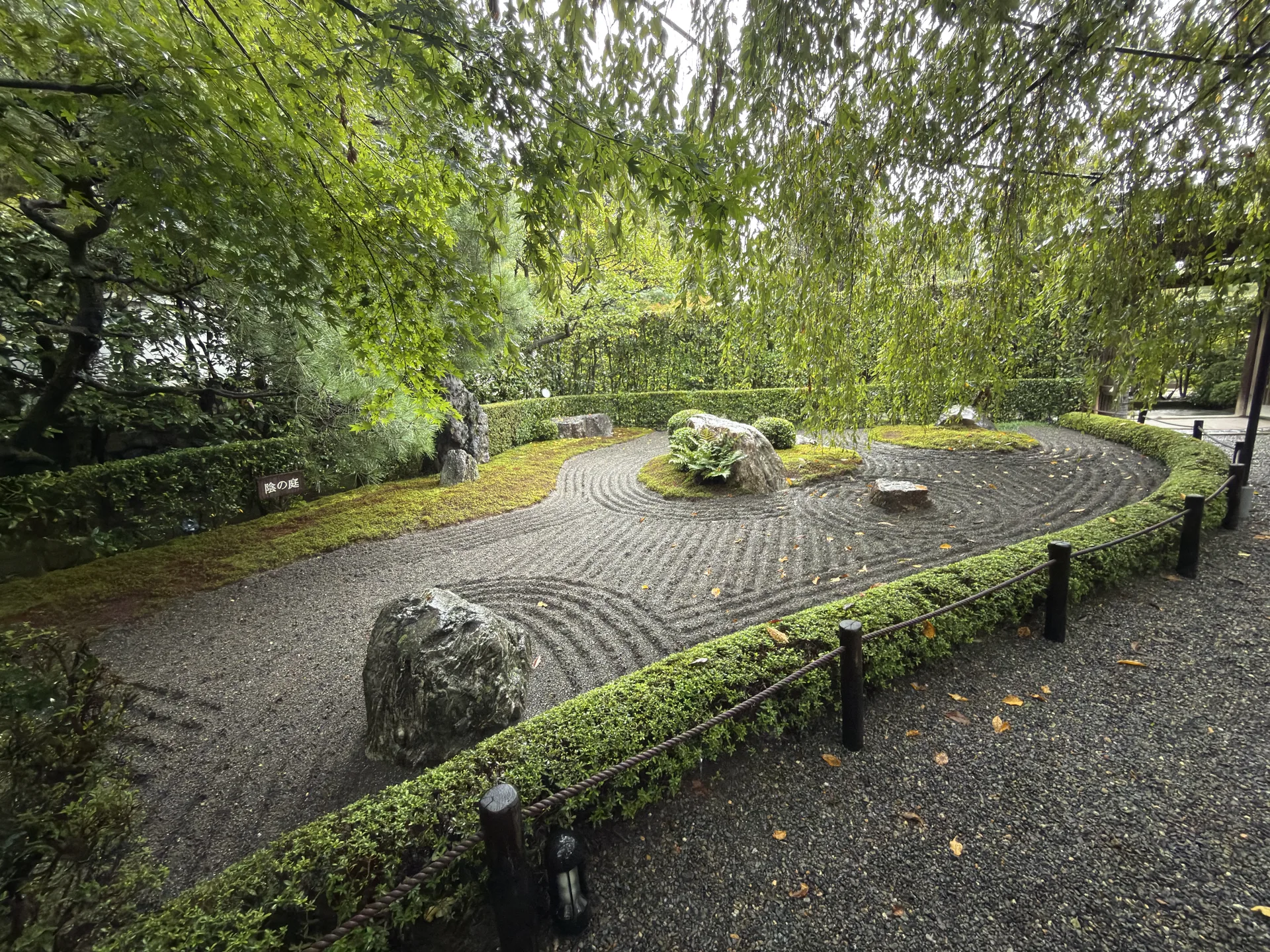 退蔵院：低い生垣の奥の岩と苔の枯山水