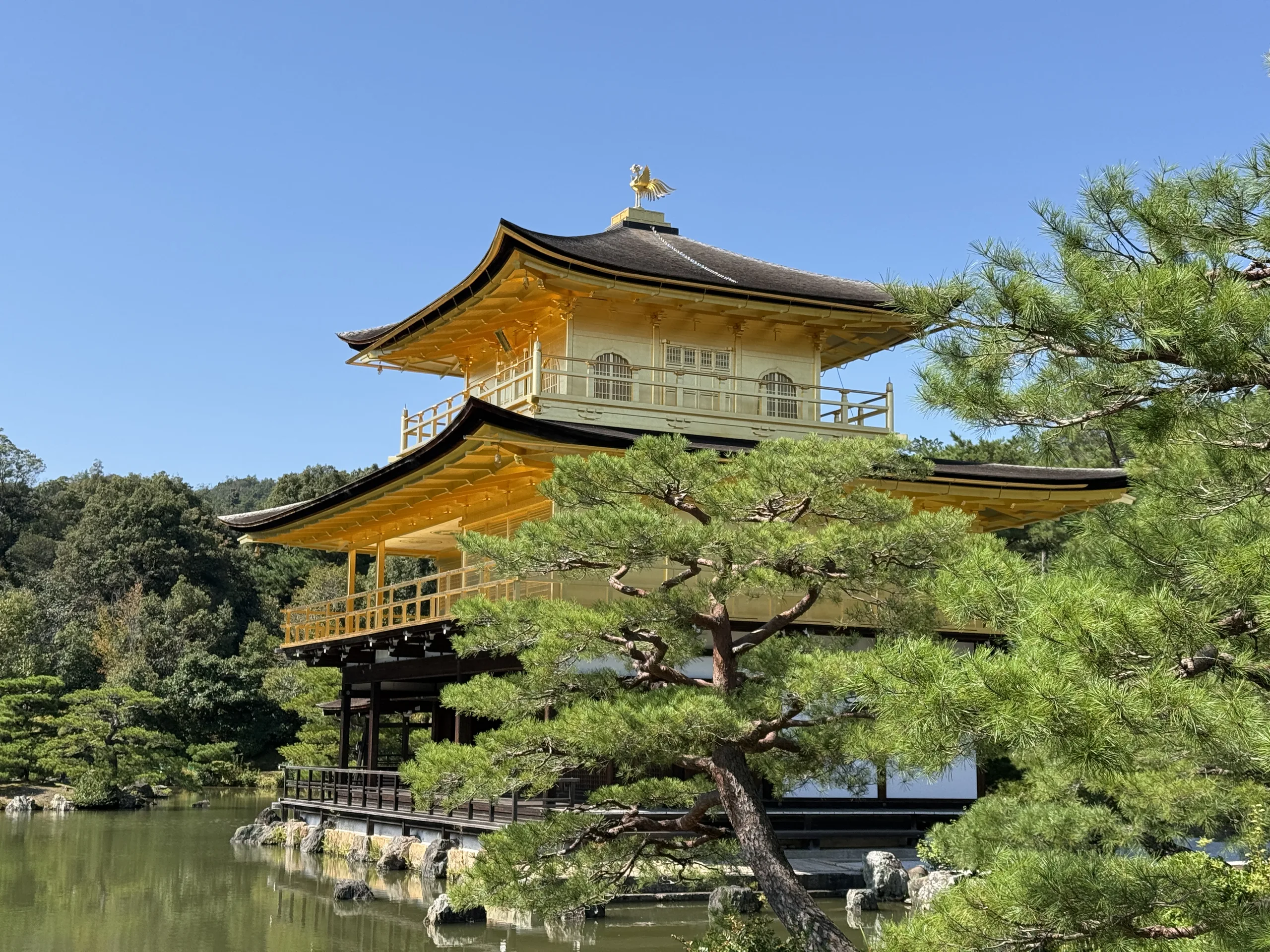 金閣寺