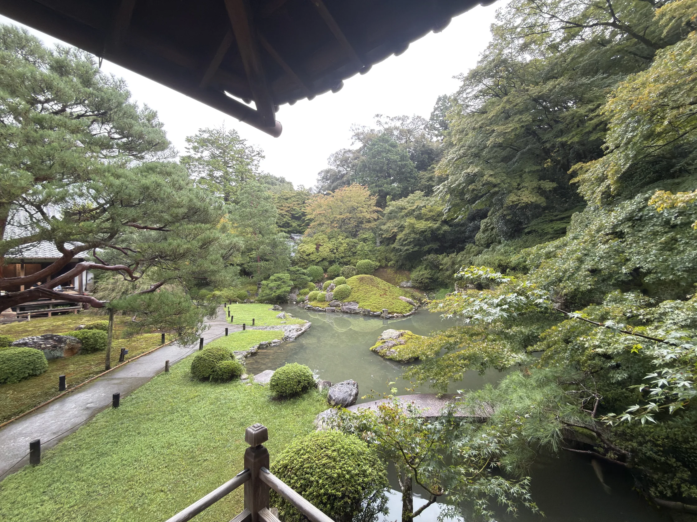 青蓮院：回廊から望む庭園