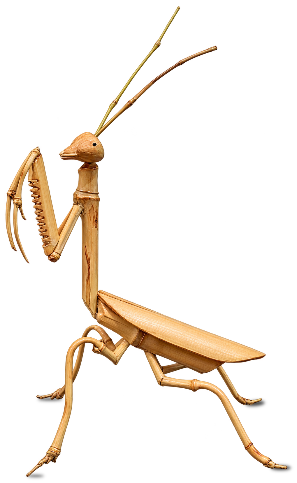Mantis religiosa confeccionada en bambú, colección personal