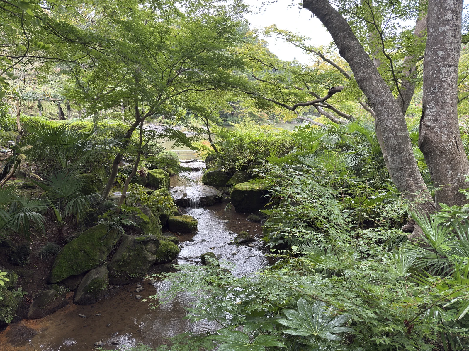 成田山新勝寺：池のある公園、岩と草木の間を流れる小川