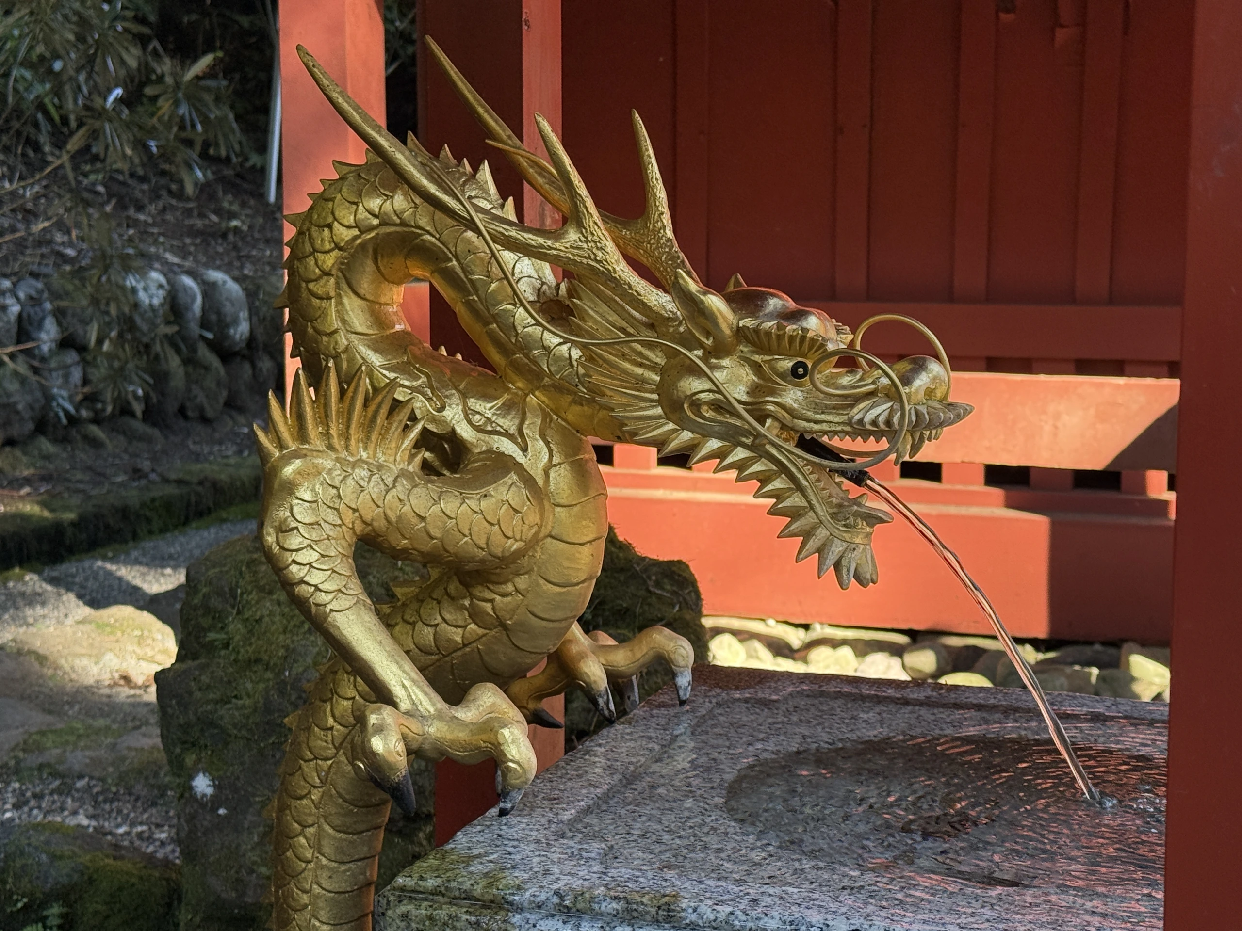 日光：手水の金色の龍
