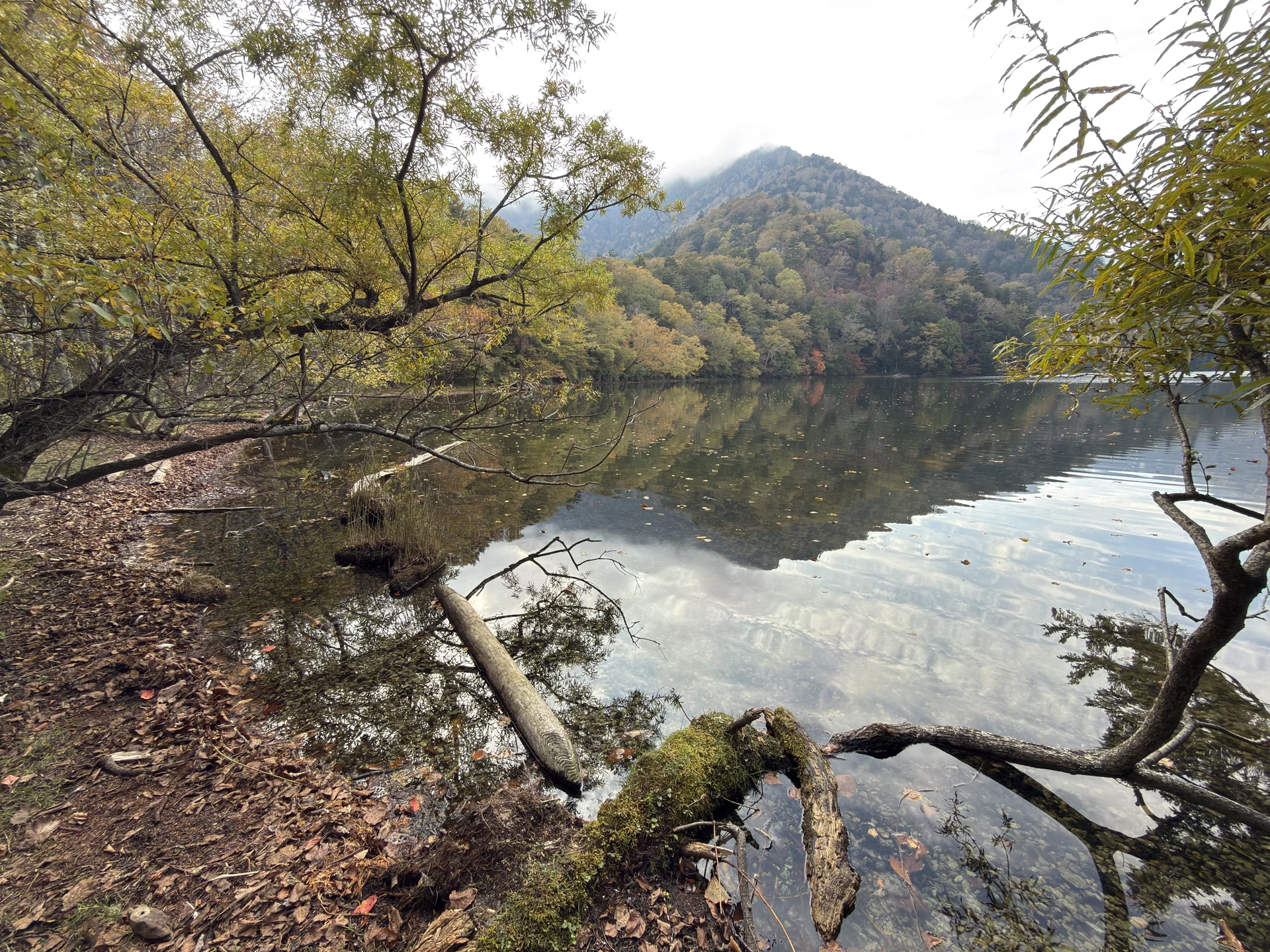 中禅寺湖：湖畔に映る秋の景色
