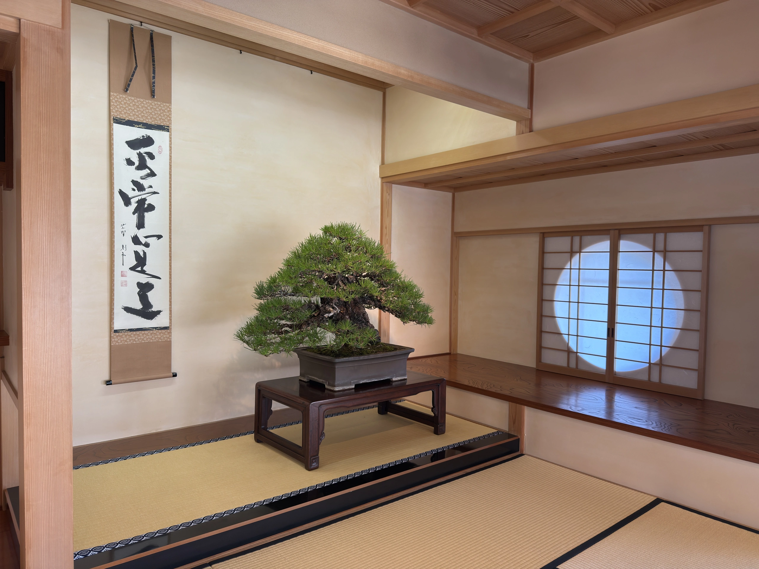 大宮盆栽美術館：同じクロマツを横から、書院風の丸窓とともに