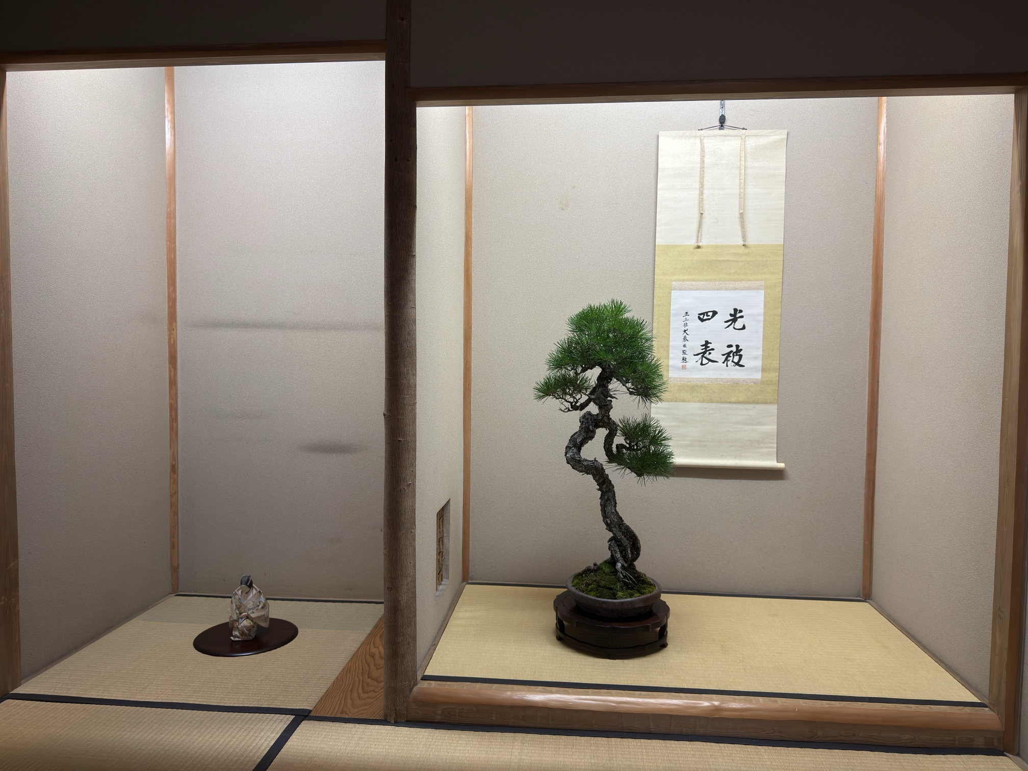 Kuromatsu pequeño en una maceta nanban, con un kakejiku de caligrafía 光被四表 y una figura femenina de nō tallada en madera, en el tokonoma de una sala de té
