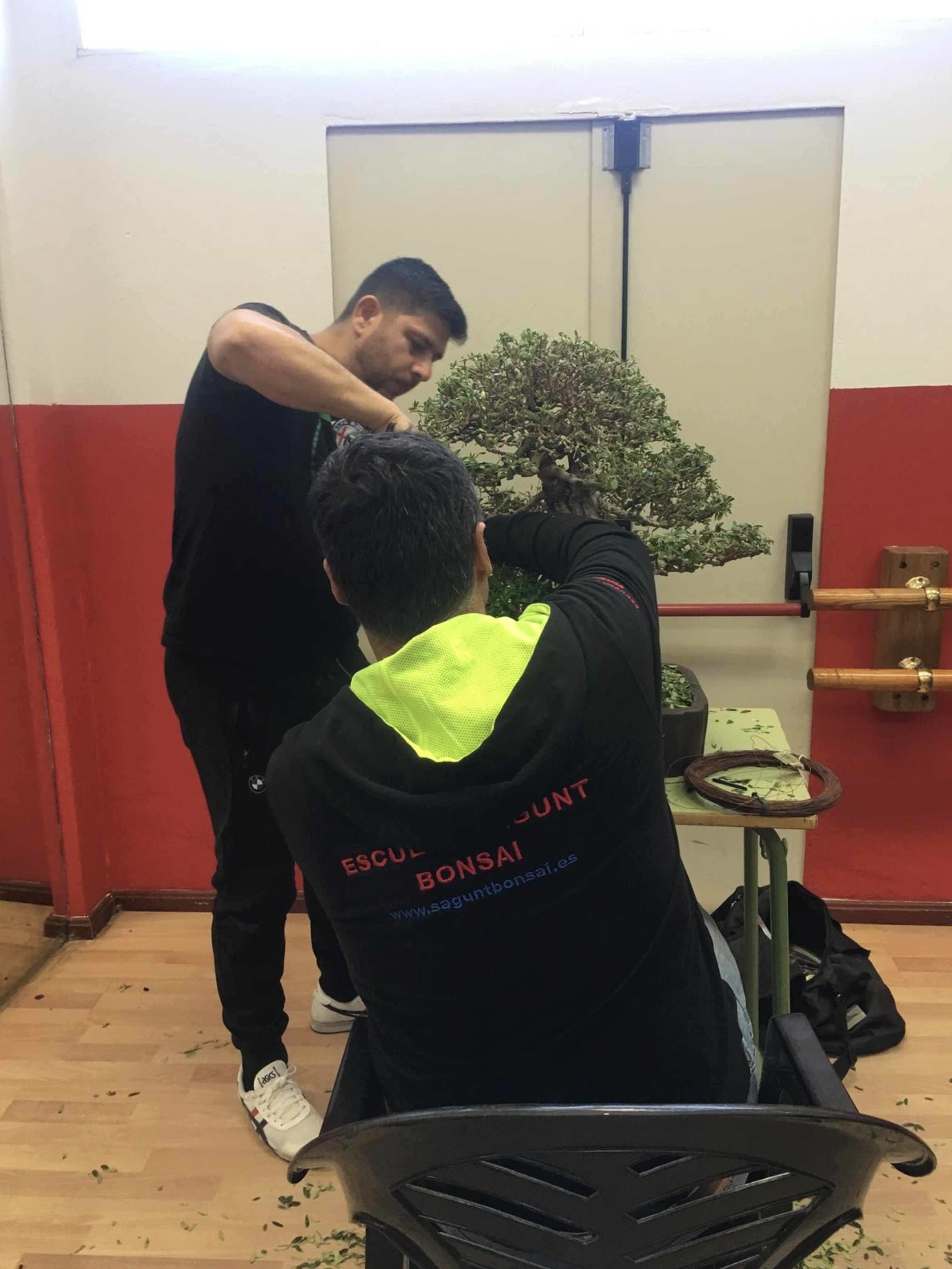 Sesión práctica de trabajo con un alumno durante el taller del VIII Congreso Andaluz de Bonsái