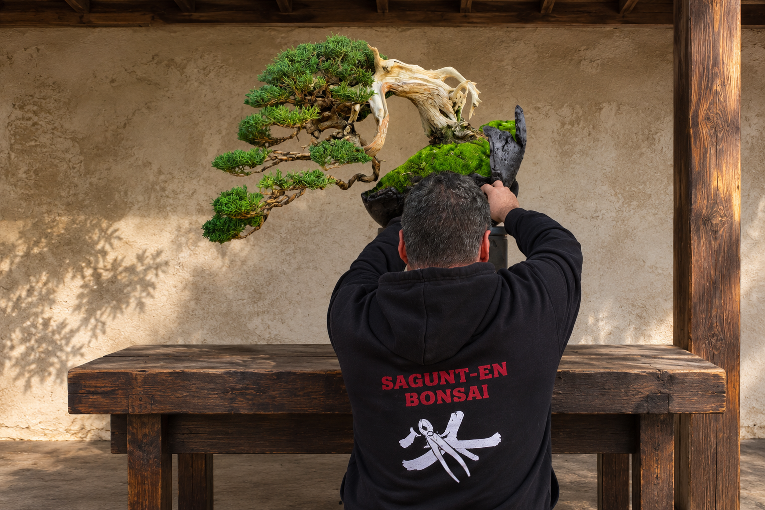 Masaru Ken, de espaldas, trabajando un enebro chino (Juniperus chinensis) en estilo semi-cascada (han-kengai) sobre una mesa de madera, con el logotipo de la Escuela Tradicional Sagunt-En en la sudadera