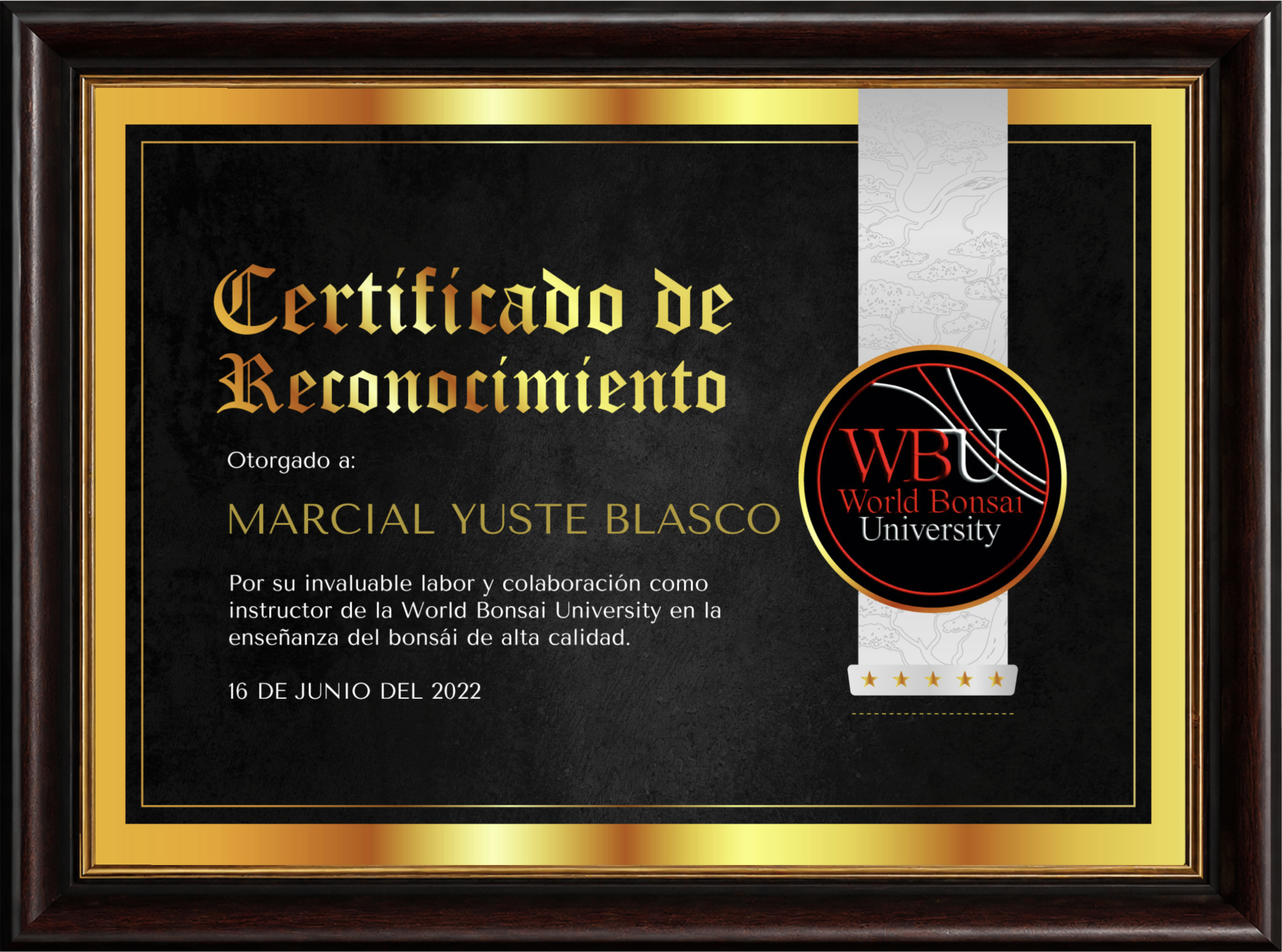 Certificado de Reconocimiento otorgado por World Bonsai University a Marcial Yuste Blasco
