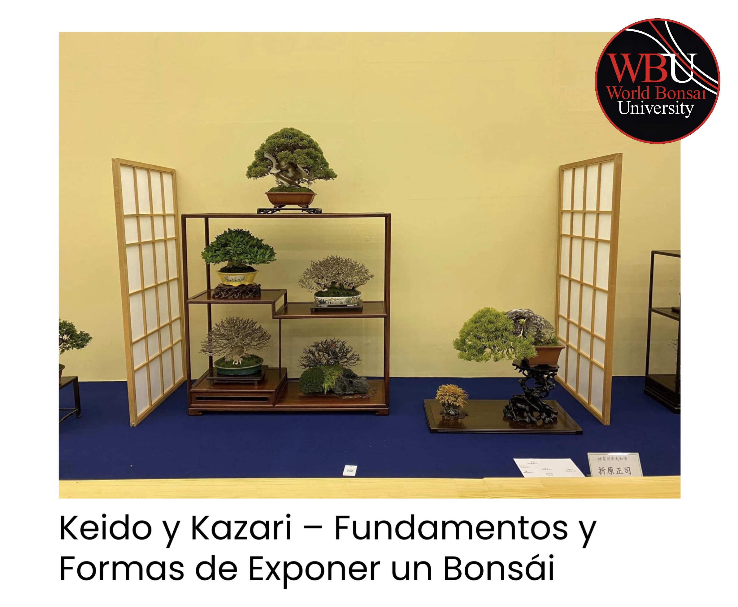 Artículo en Blog World Bonsai University: Keidō y Kazari – Fundamentos y Formas de Exponer un Bonsái